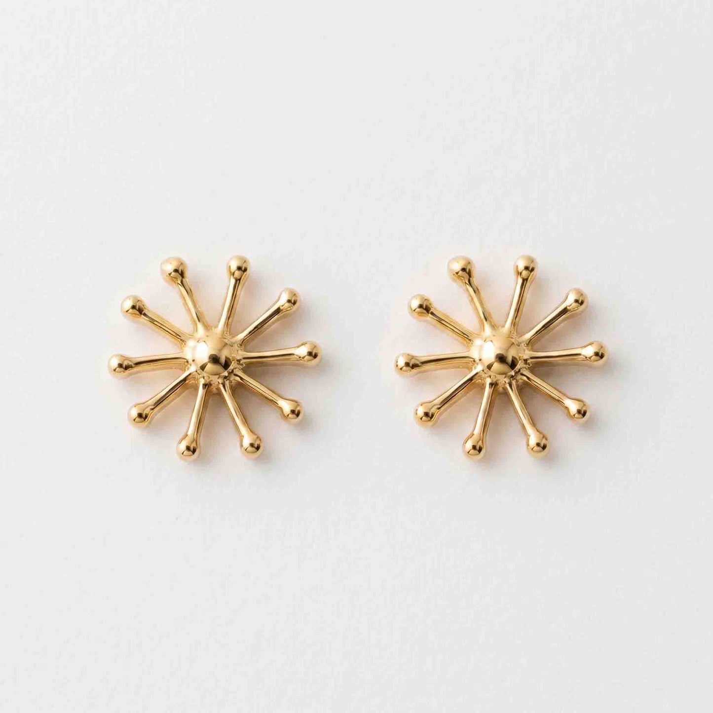 Silver Raiya Earring