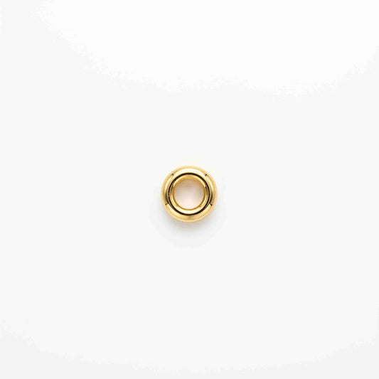 Silver Hollow Circle Nose pin