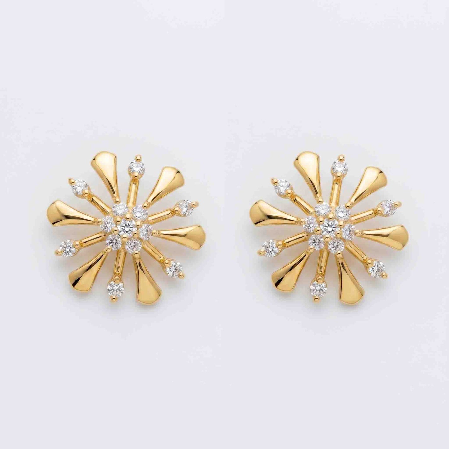 Silver Taarini Earrings
