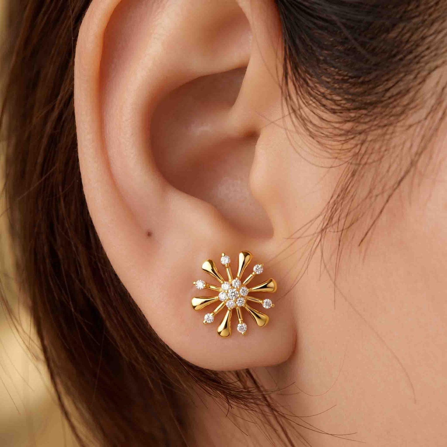Silver Taarini Earrings