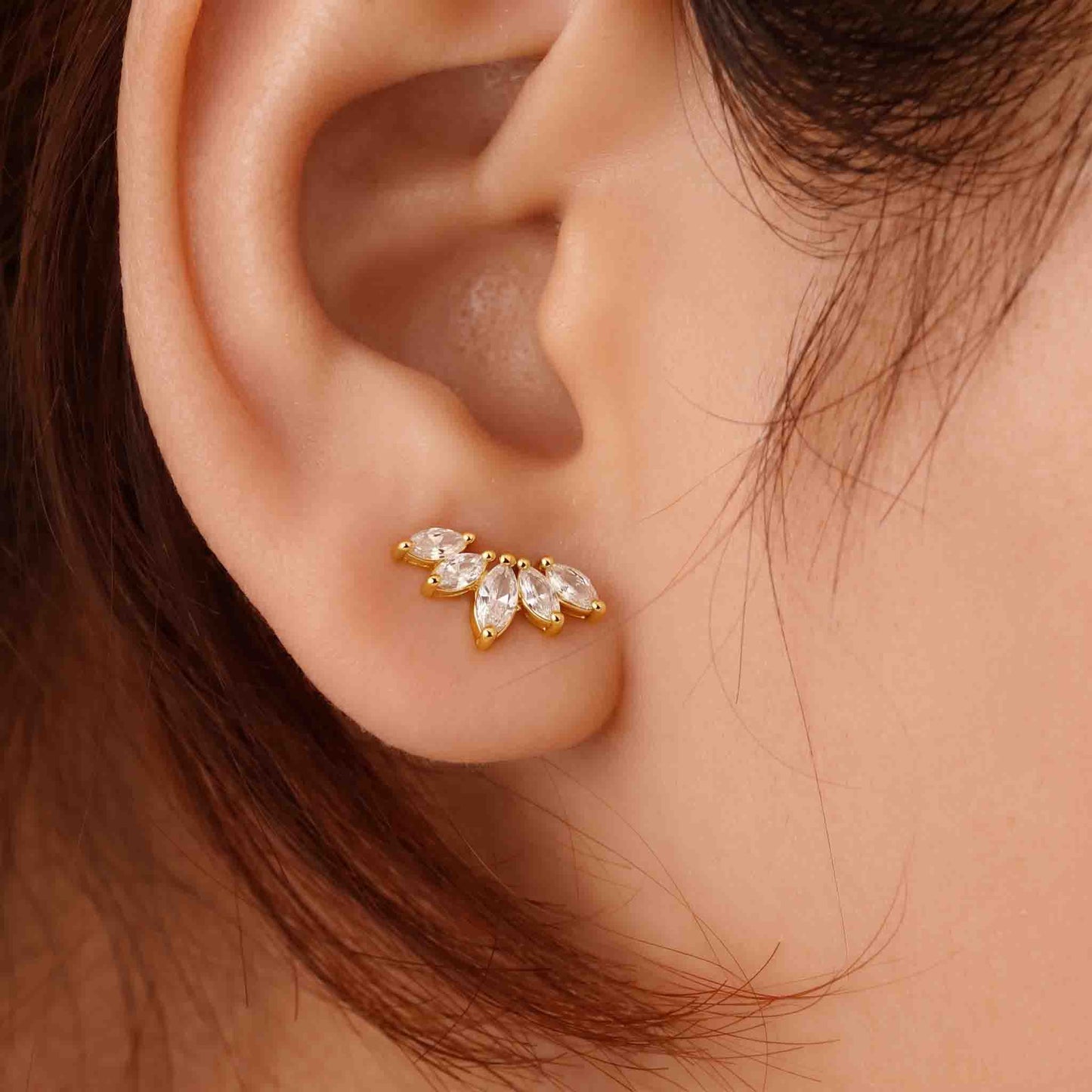 Silver Tiara Earrings