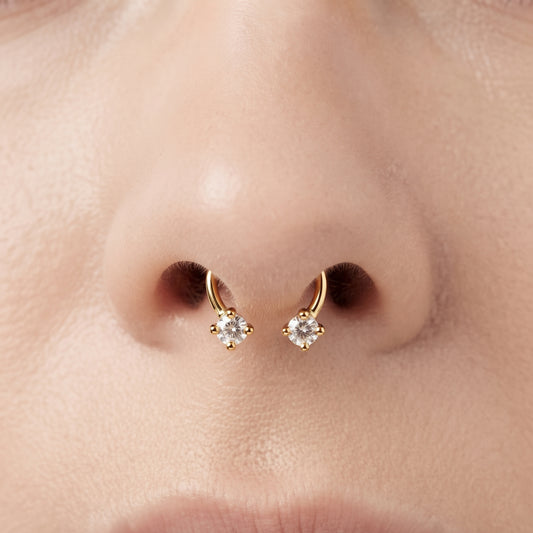Horse Shoe Septum