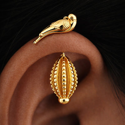 Silver Bugadi Cacao Parrot Top Gold Design