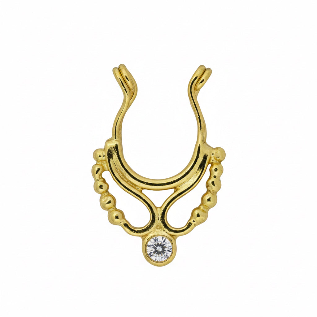 SEPTUM14