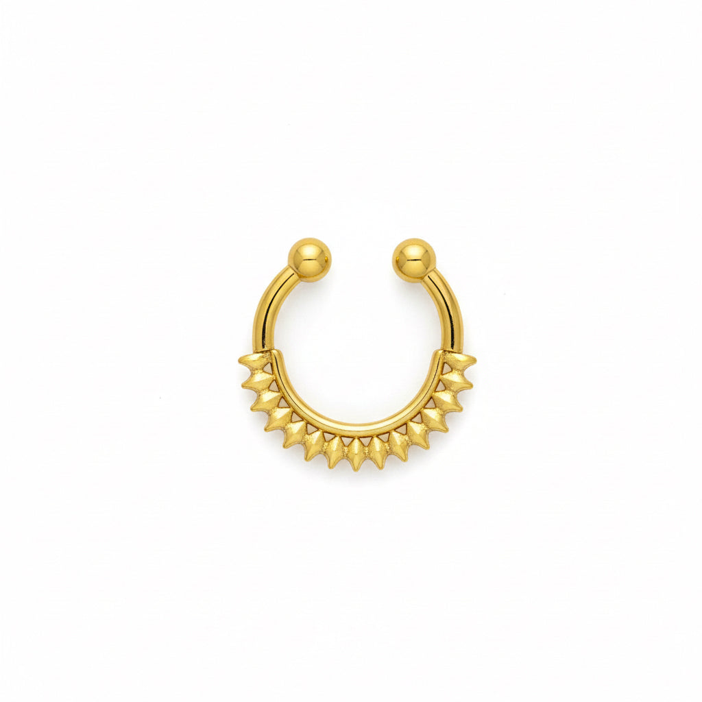 SEPTUM41