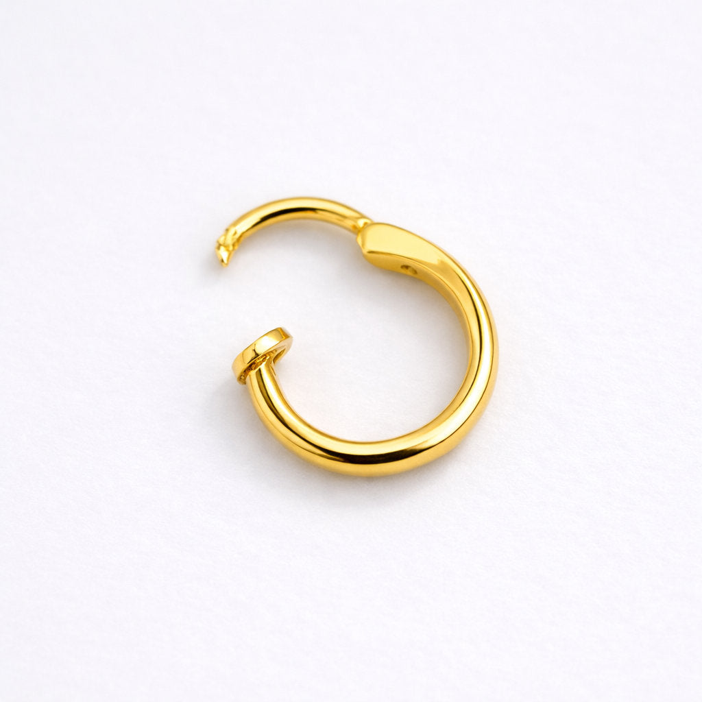 Silver Double Line Nosering