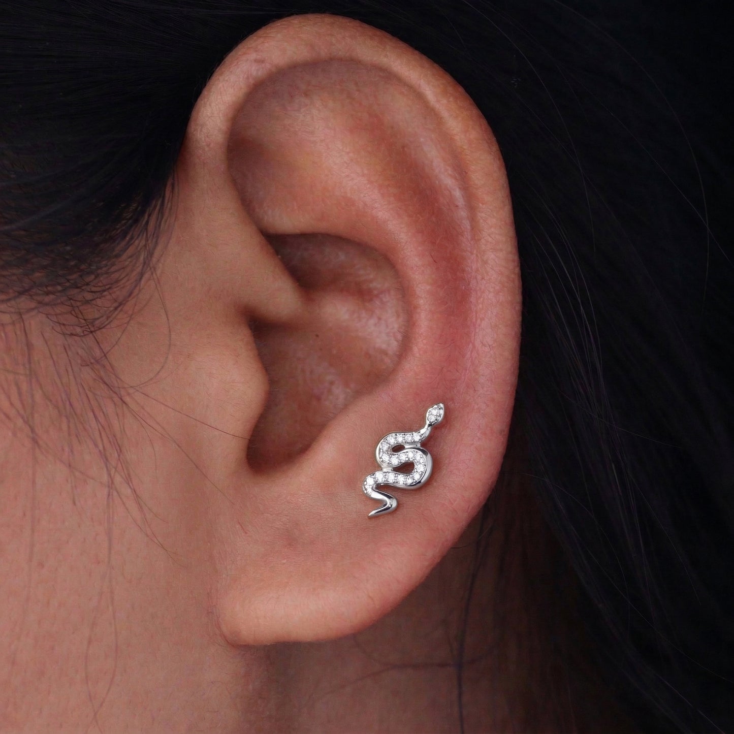 Silver Royal Python Stud Earrings